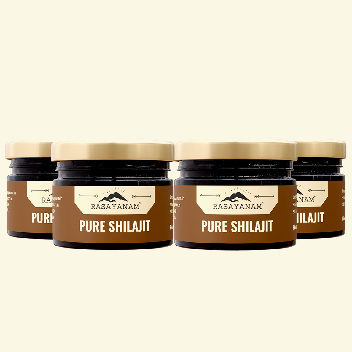 rasayanam shilajit,