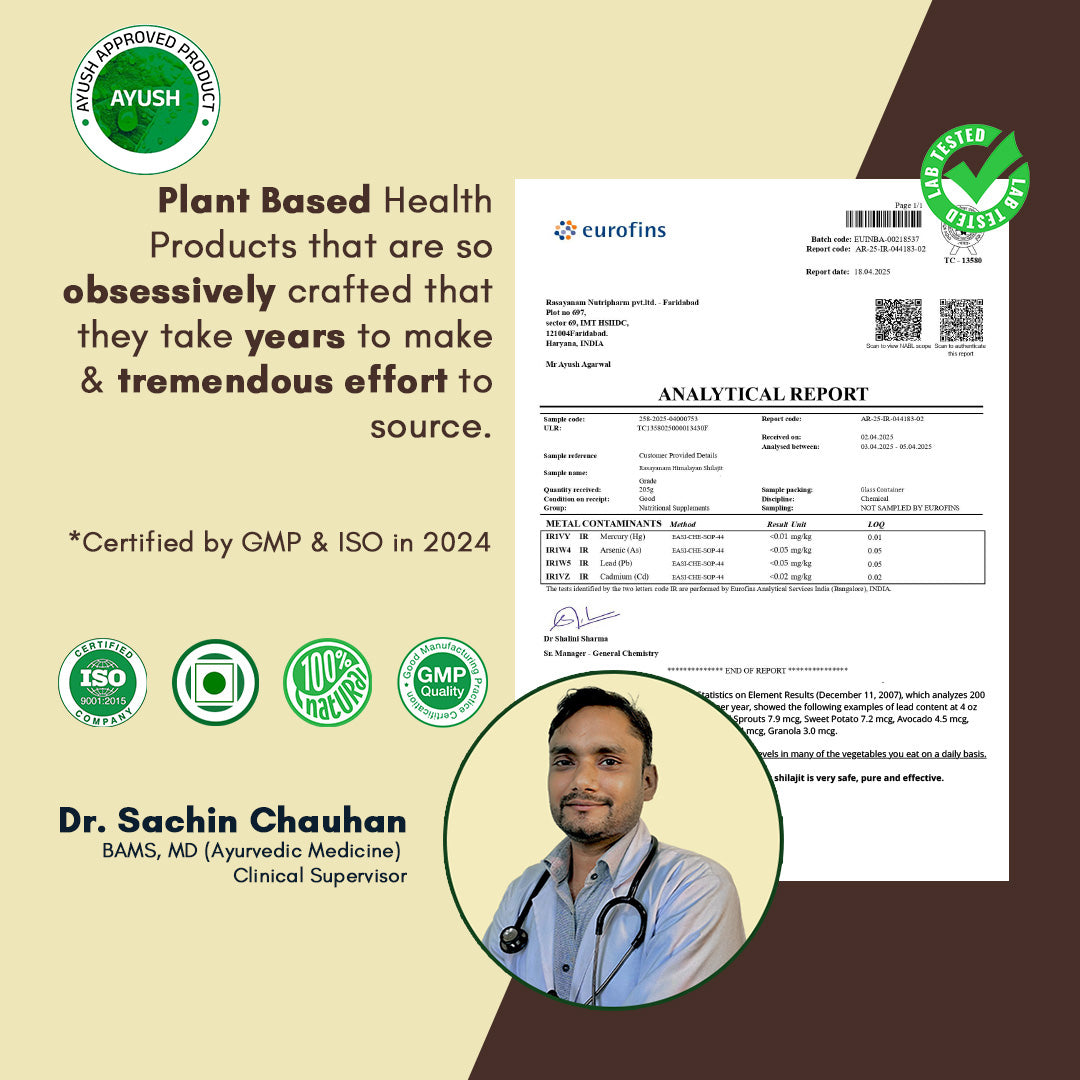 The Nutrition & Peak Energy Stack