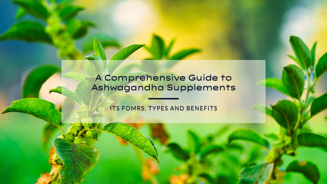 A Comprehensive Guide to Ashwagandha Supplements: Types, Forms, and Benefits