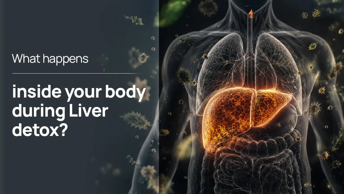 What Happens Inside Your Body during Liver Detox