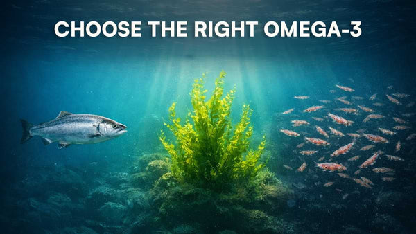 Choosing the right Omega 3 Fatty Acids: Fish Oil vs Algae Oil vs Krill Oil