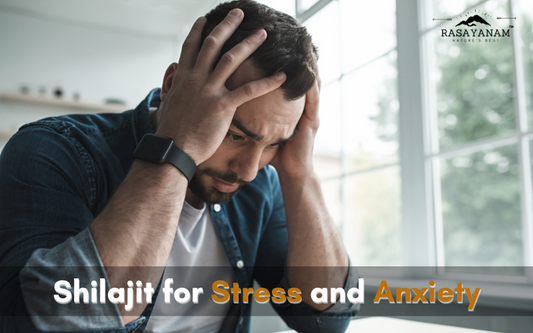 Can Shilajit Actually Help You Cope with Stress and Anxiety?