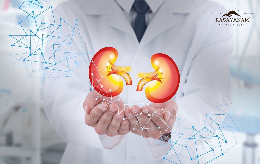 Shilajit & Kidney Stones: Clearing Up the Confusion