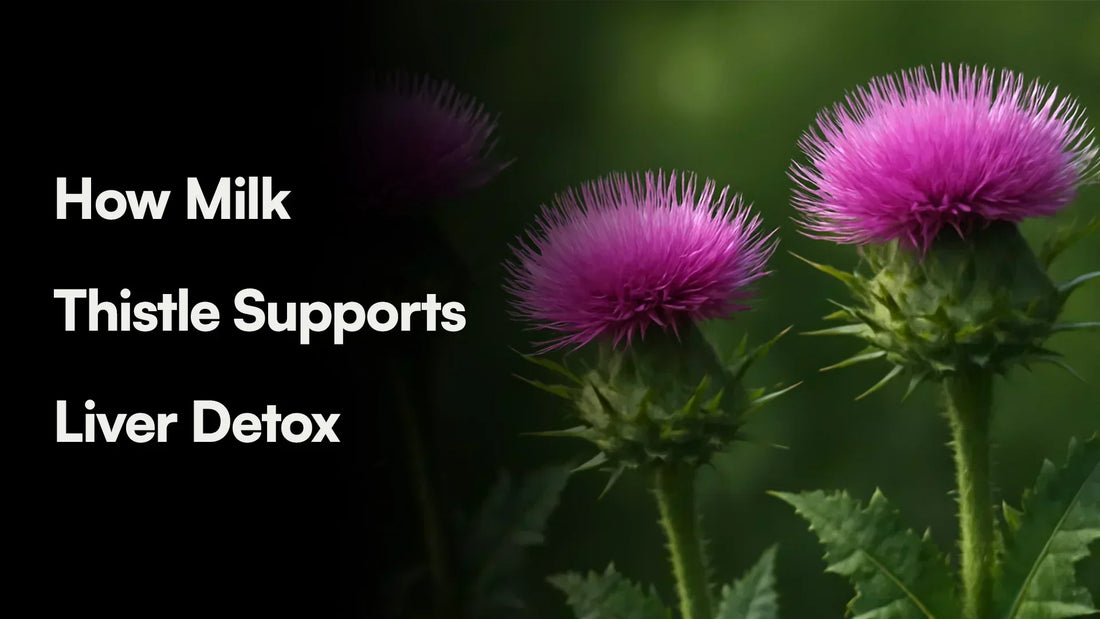 milk thistle 