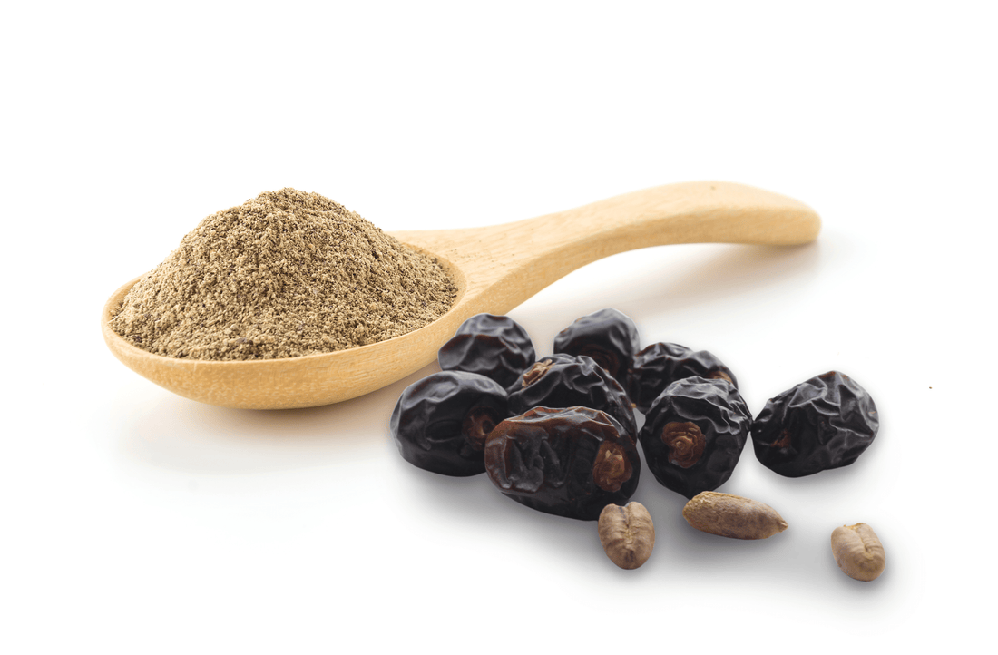 Little-known Ajwa Seed Powder Benefits You Needed to Discover