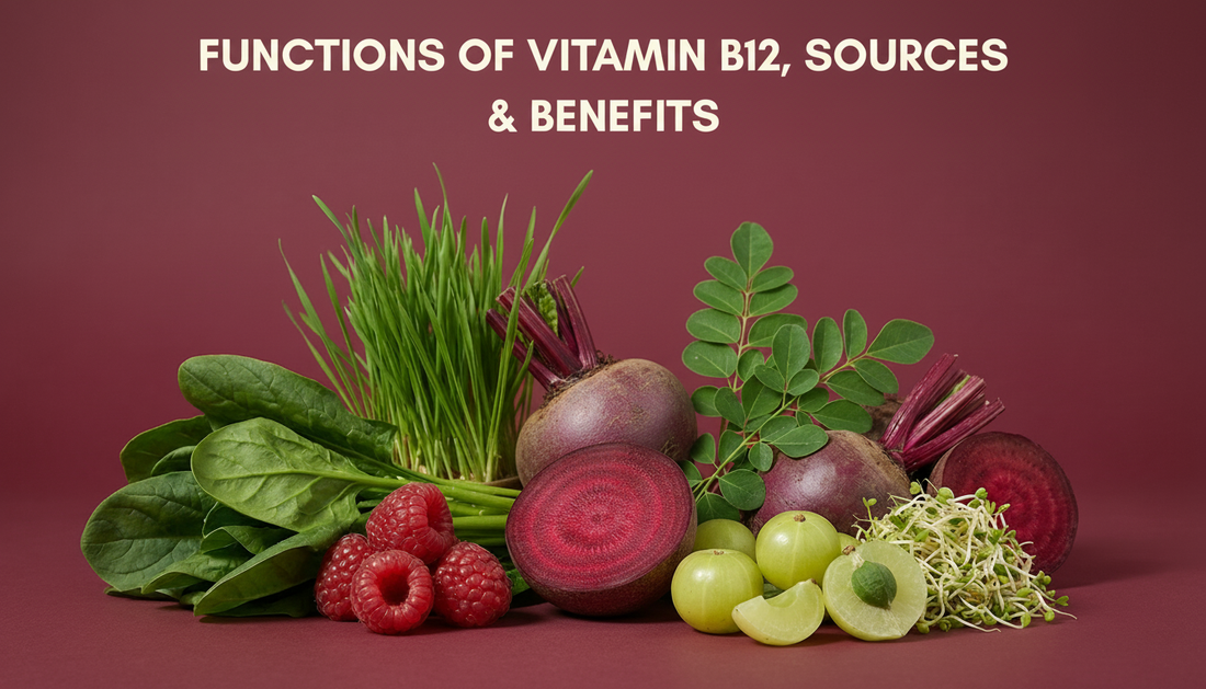 vitamin b12 sources