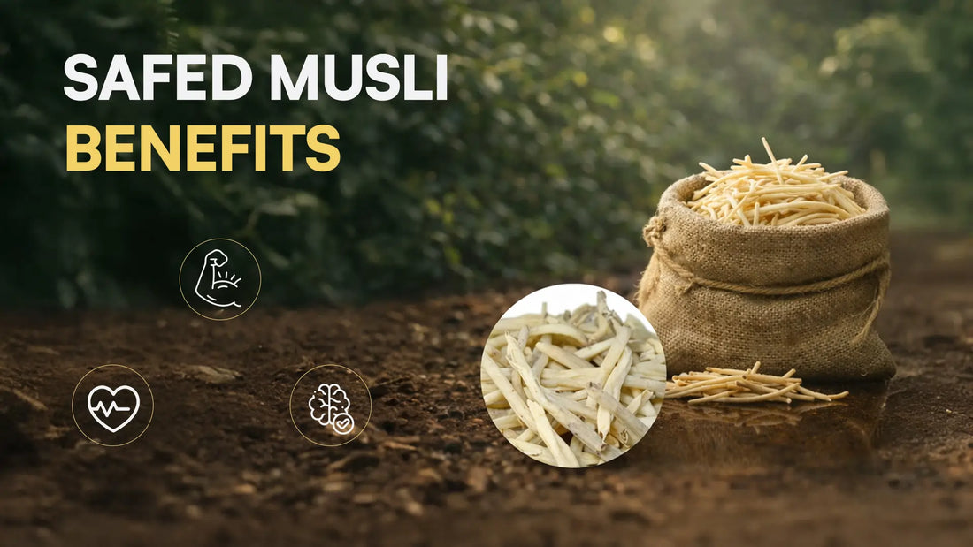 Safed Musli Benefits: Why Men Are Turning to This Herb