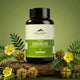 Bottle of Rasayanam Tribulus Gokhru-60 supplement with natural elements on a green background
