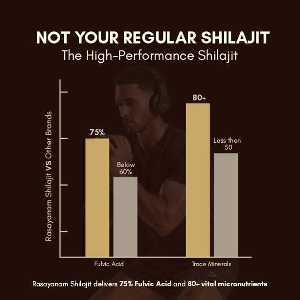 Rasayanam Shilajit