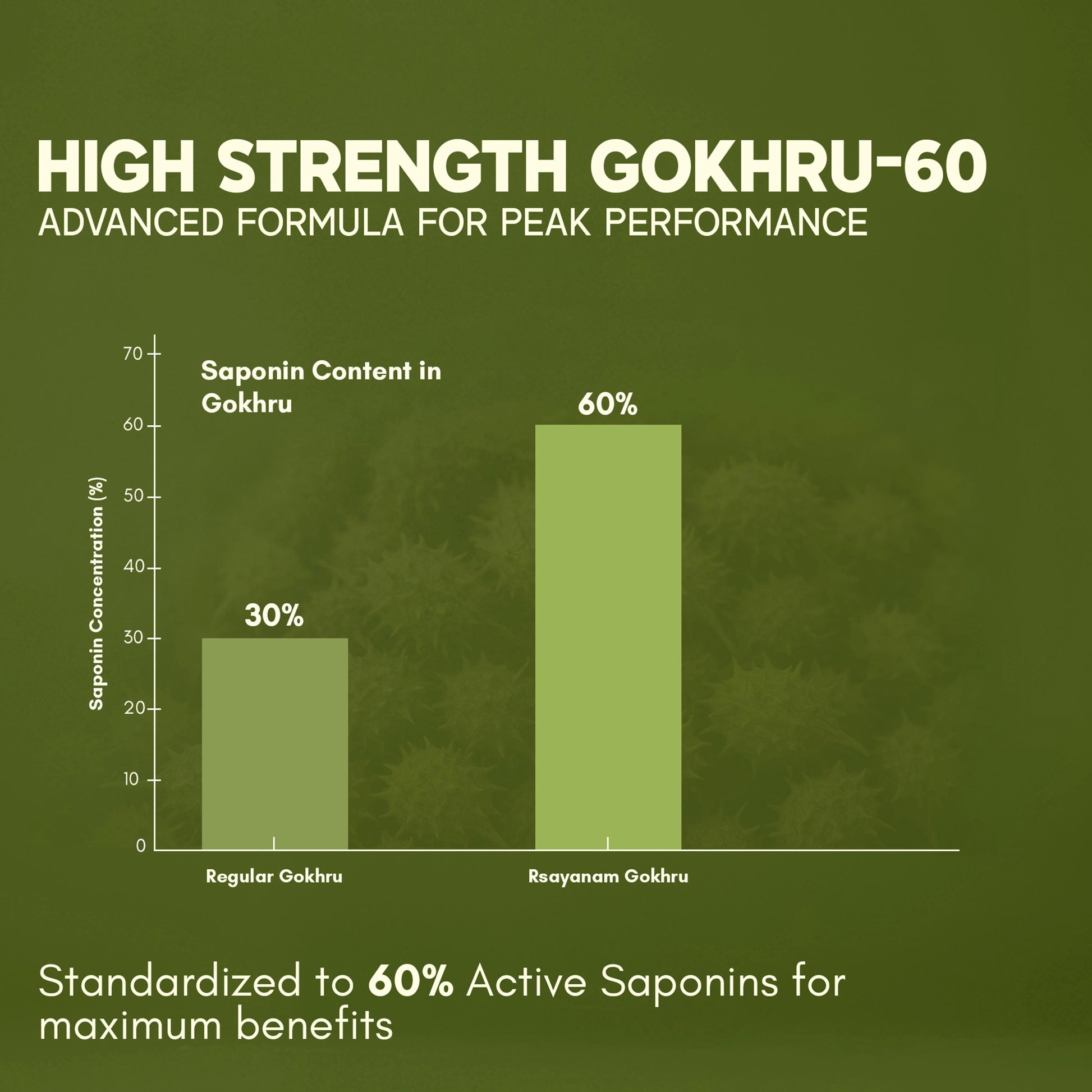 High Strength Gokhru-60