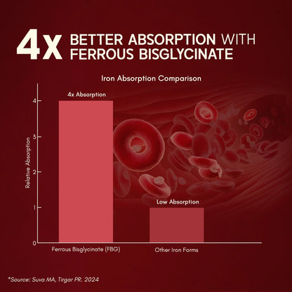 iron absorption with Ferrous Bisglycinate 