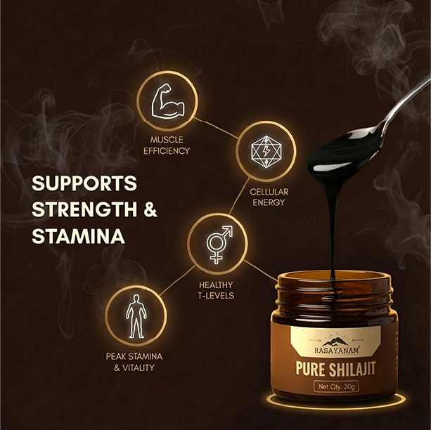 Rasayanam Shilajit benefits