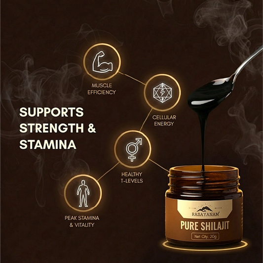Rasayanam Shilajit benefits