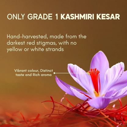 Original Kashmiri Saffron/Kesar (1g)