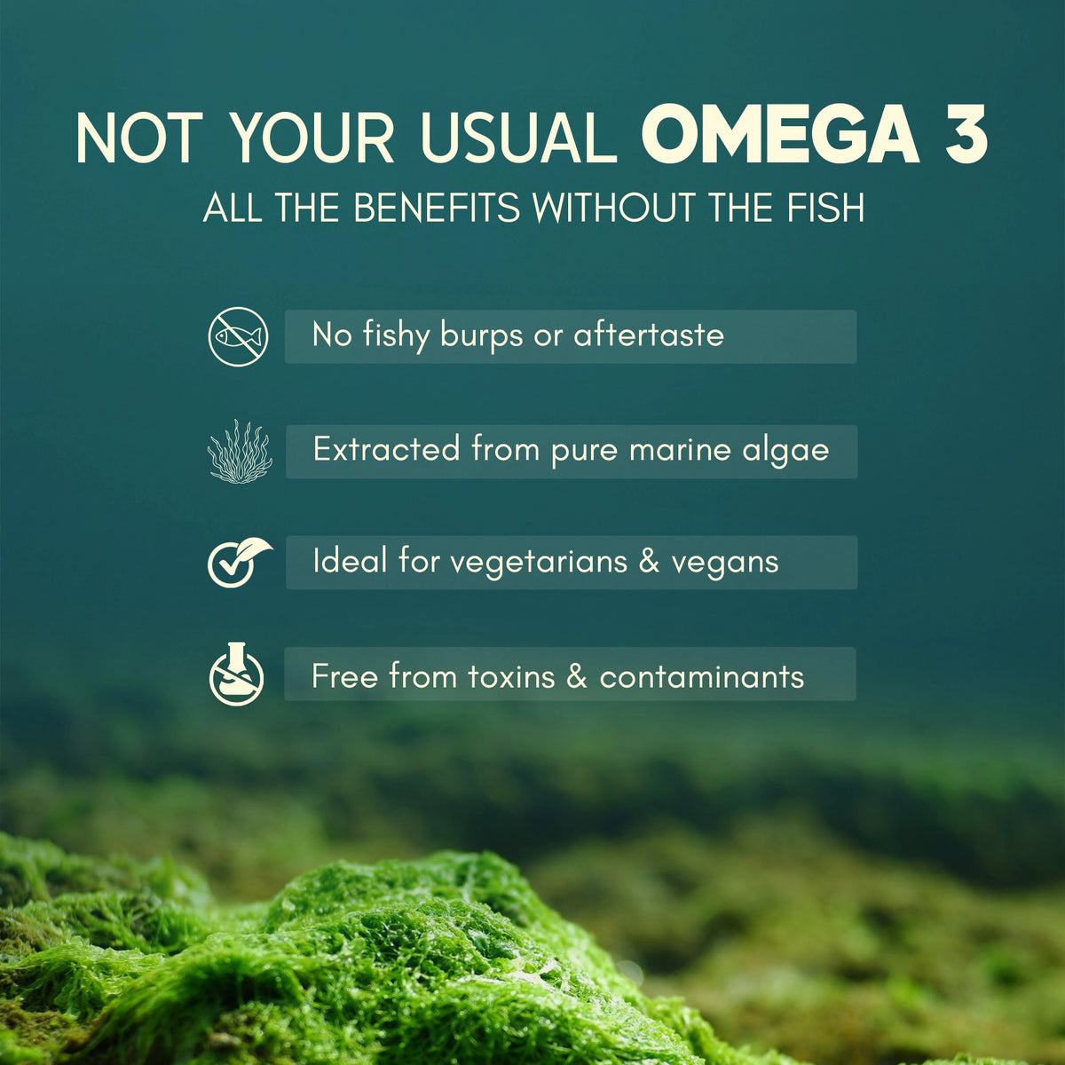 Plant-Based Omega-3- Vegan DHA & EPA Capsules - Rasayanam