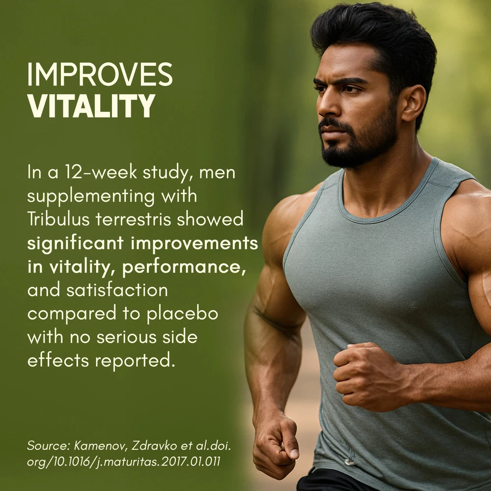 Tribulus Gokhru-60 improves vitality