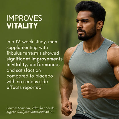 Tribulus Gokhru-60 improves vitality