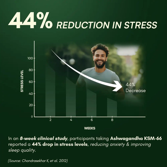 ksm 66 for stress