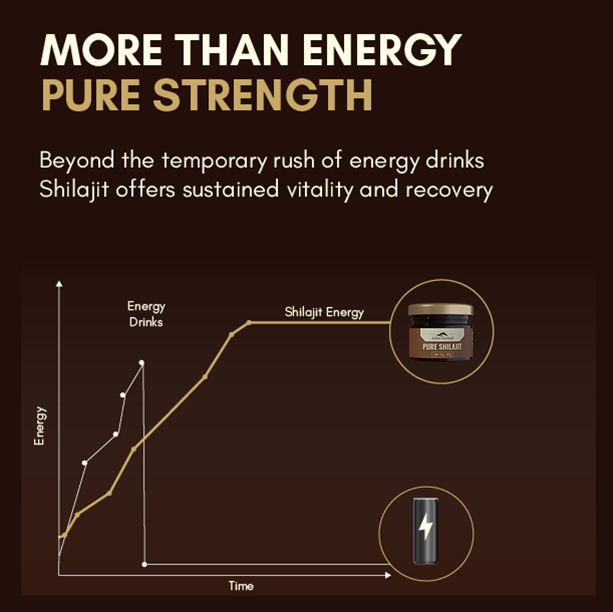 Rasayanam Shilajit