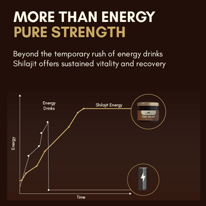 Pure Original Himalayan Shilajit