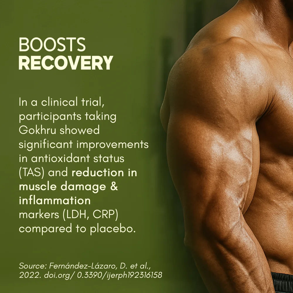 Tribulus Gokhru-60 to boosts recovery 