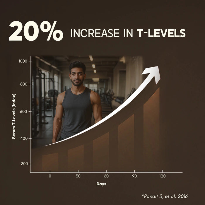 increase in t-levels testoboost