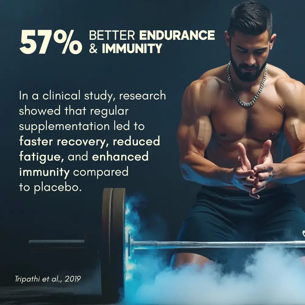 rasayanam multivitamin tablet for men