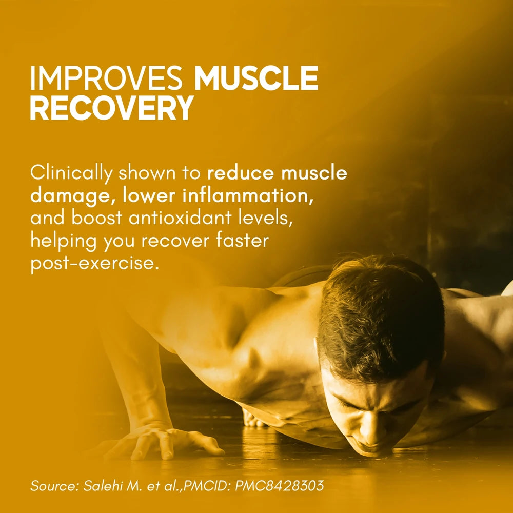 curcumin for muscle recovery