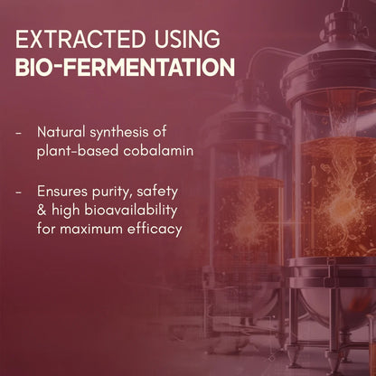 Bio-fermentation process