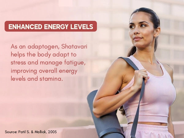 Shatavari supplement