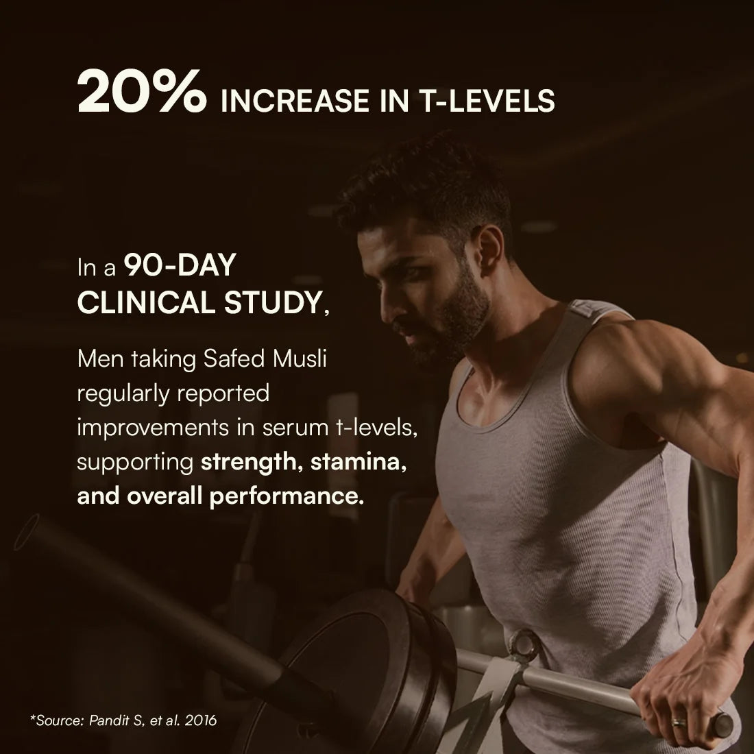 Multivitamin for Men and Testoboost Combo for 360° Wellness & Stamina