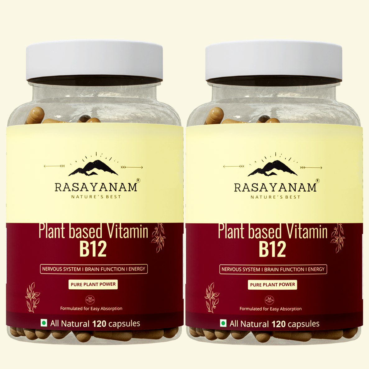 Plant-based Vitamin B12