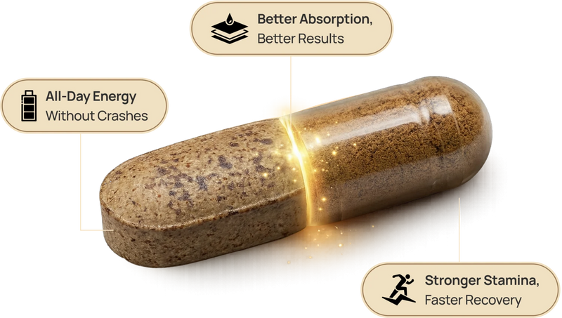 When Daily Nutrition Meets Real Performance