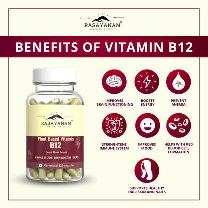 Plant-based Vitamin B12