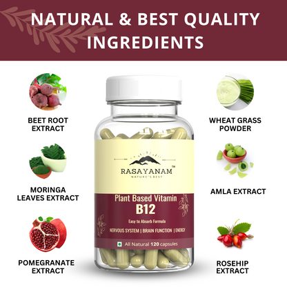 Plant-based Vitamin B12