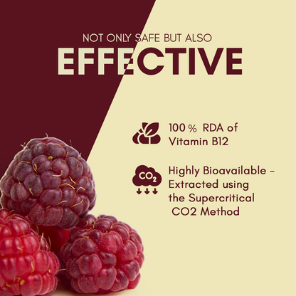 Plant-based Vitamin B12