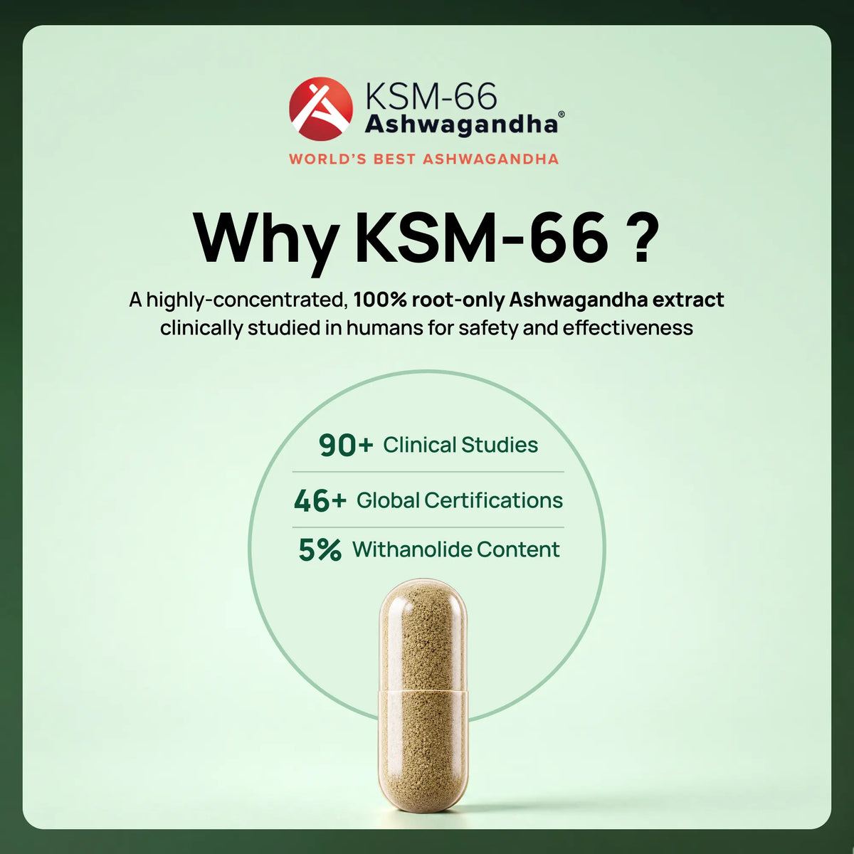Ashwagandha KSM-66 (600 mg)