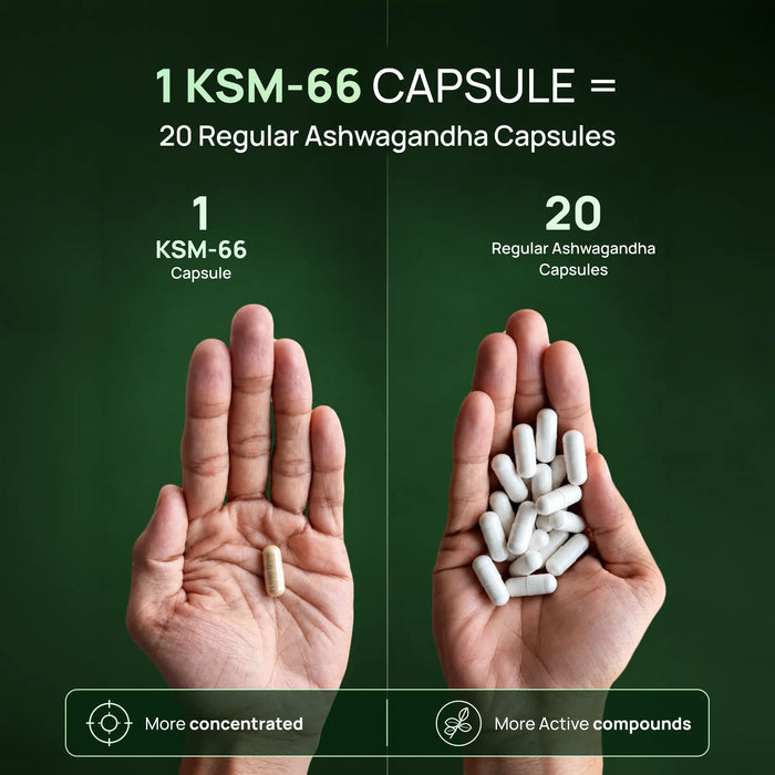 Ashwagandha KSM-66 (600 mg)