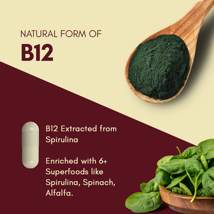 Plant-based Vitamin B12