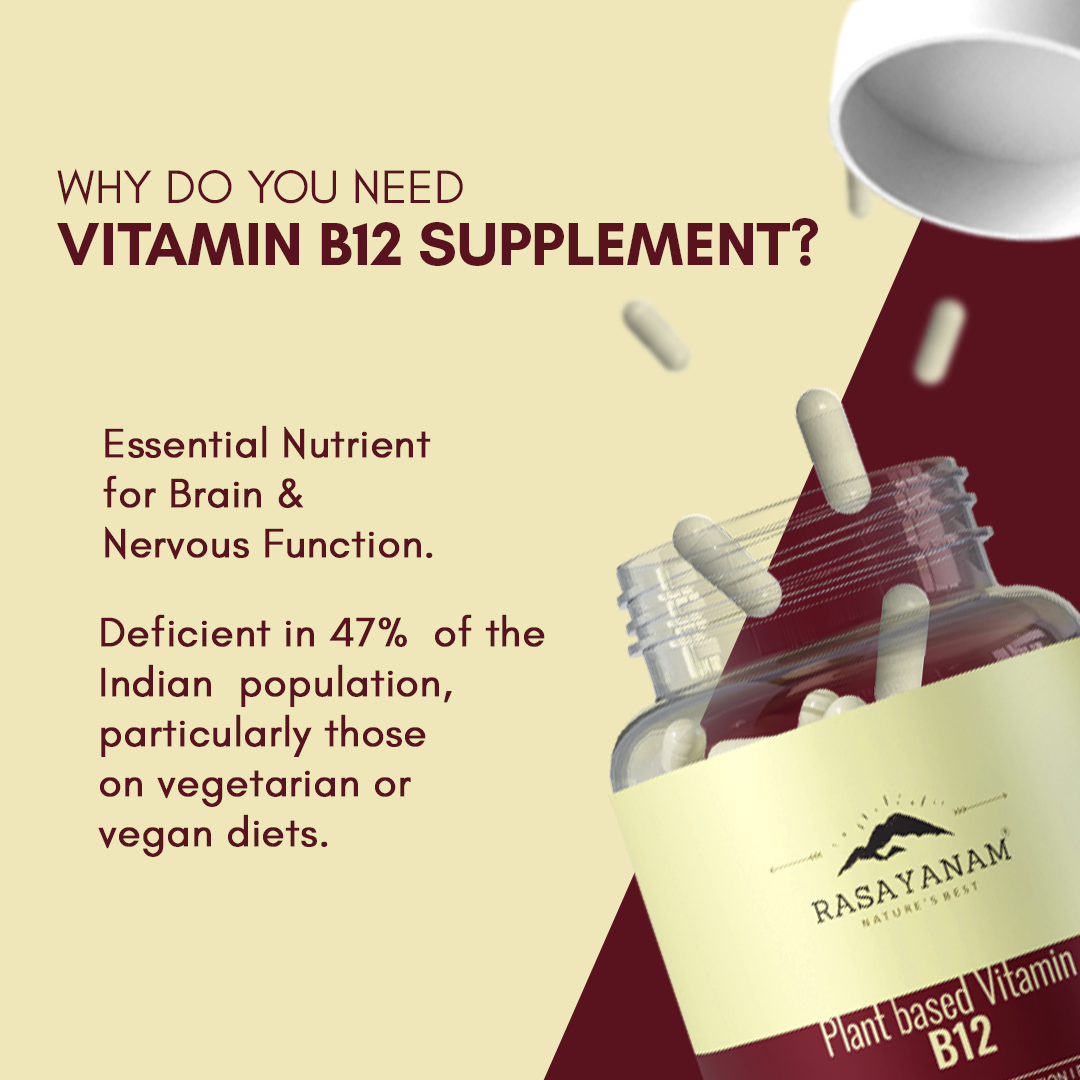 Plant-based Vitamin B12