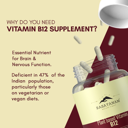 Plant-based Vitamin B12