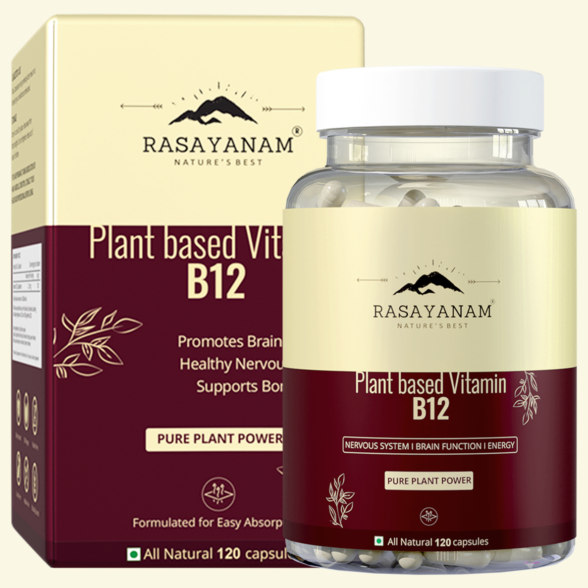 Plant-based Vitamin B12