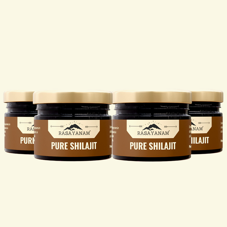 rasayanam shilajit,