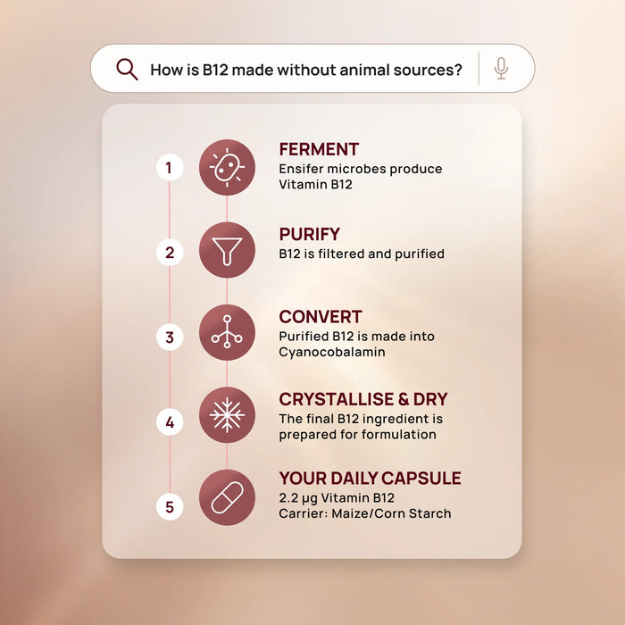Rasayanam Plant-based Vitamin B12