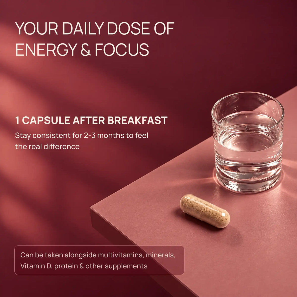 Rasayanam Plant-based Vitamin B12