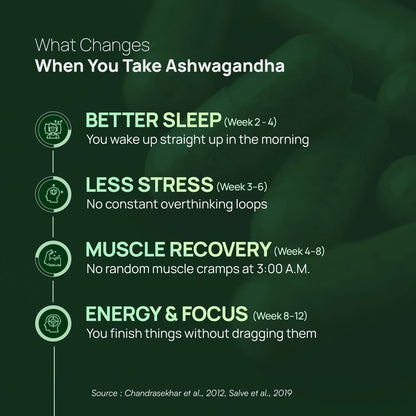 Ashwagandha KSM-66 (600 mg)