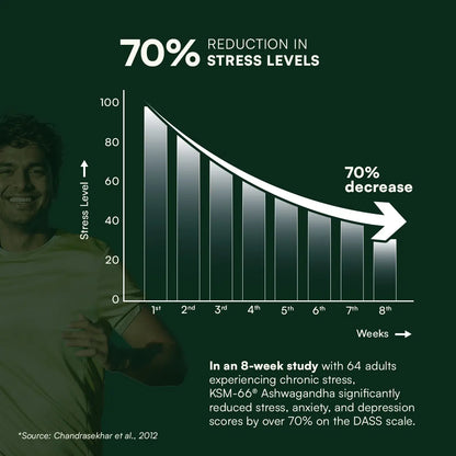 रसायनम अश्वगंधा केएसएम 66