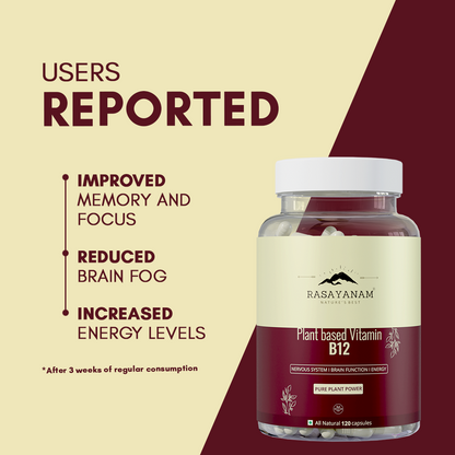 Plant-based Vitamin B12