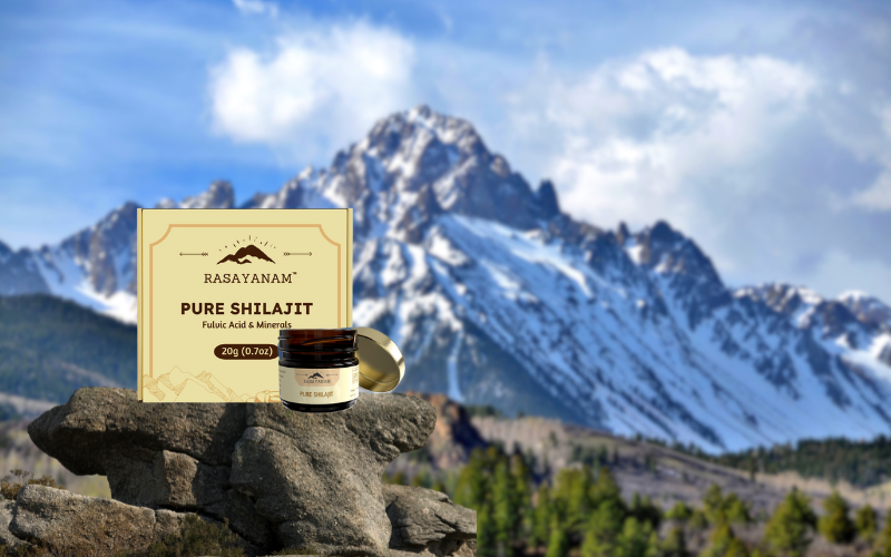 Rasayanam Shilajit, Shilajit benefits