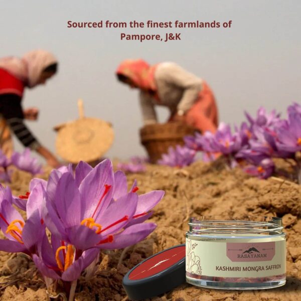 saffron from pampore, saffron farming, saffron spice